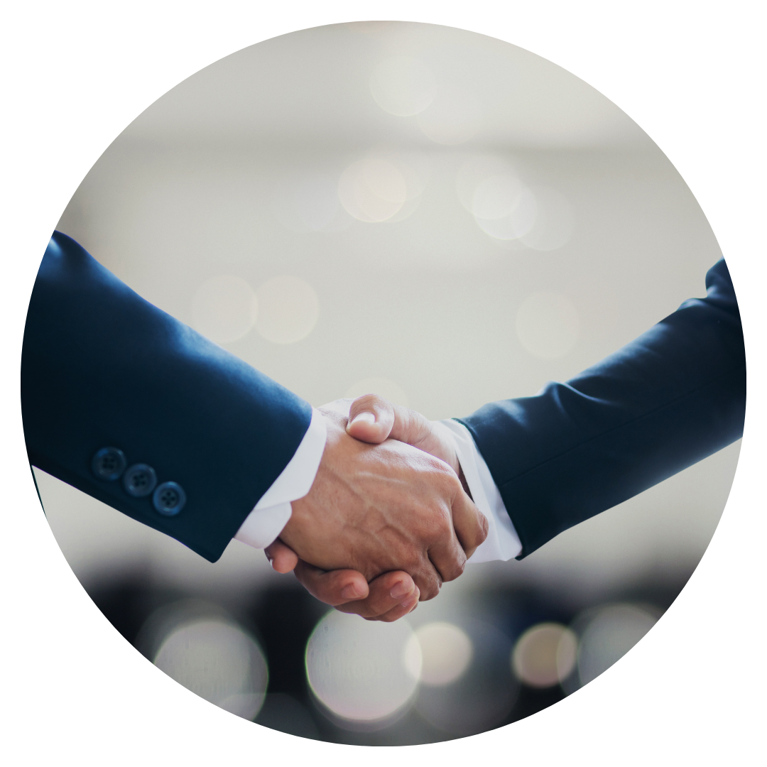 DRA. ANNE FERNANDES ADVOCACIA